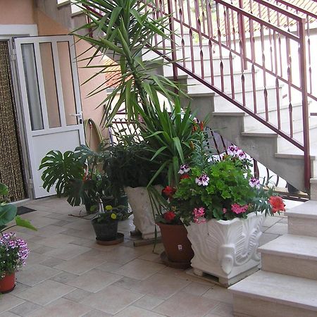 Guest Accomodation Zura Skradin Ngoại thất bức ảnh
